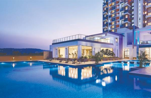 Elevation 24k-stargaze- Elevation