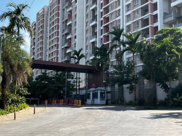  24k-stargaze- Elevation