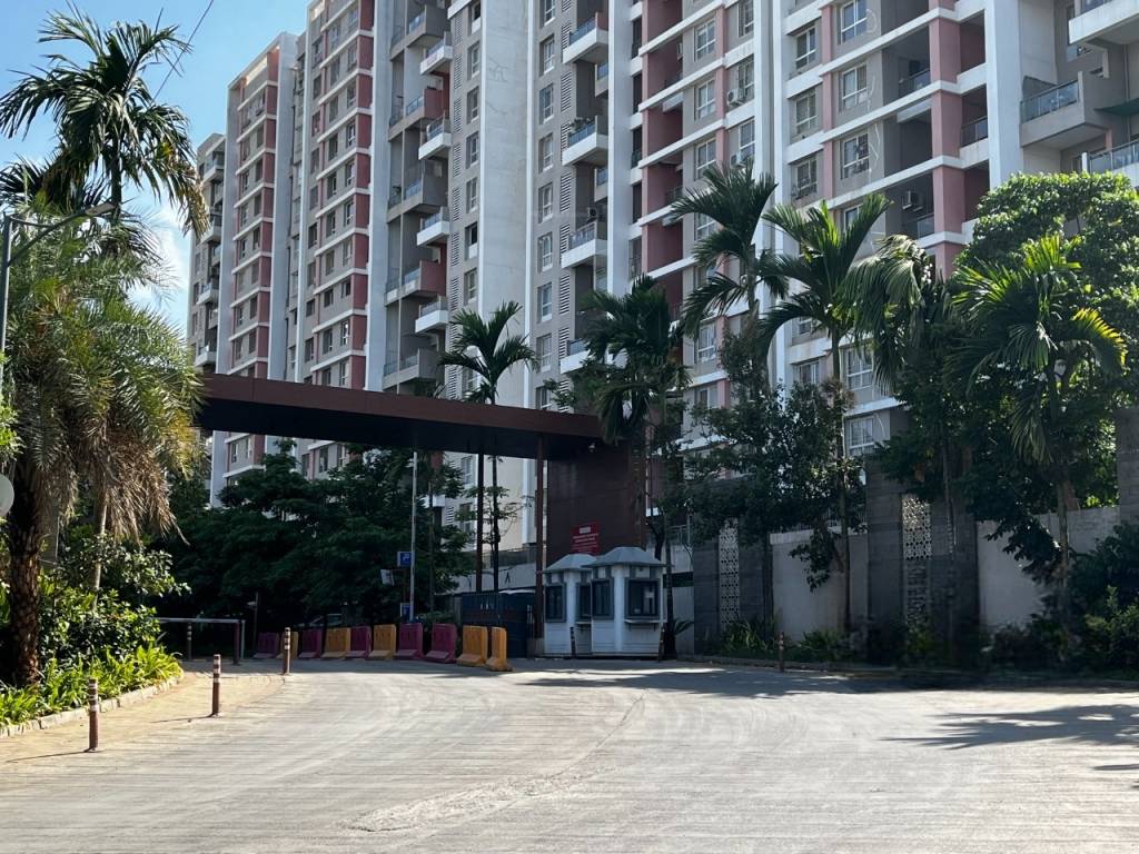  24k stargaze  Elevation