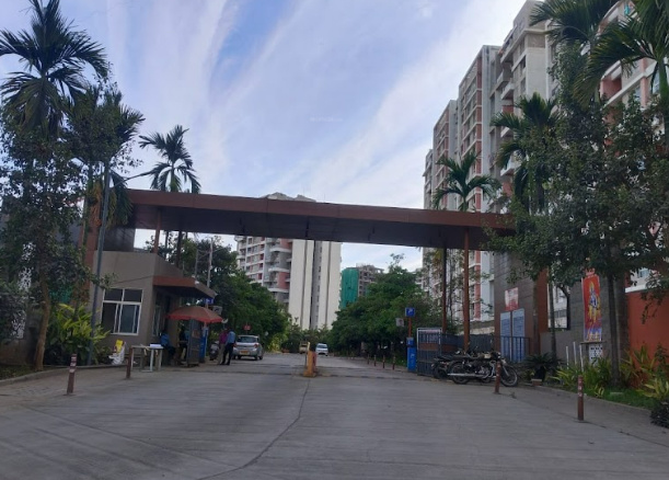  24k stargaze  Elevation