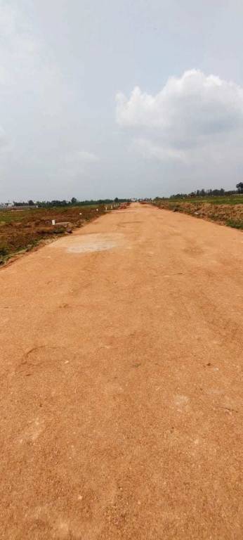  dallars layout Construction Status June 22