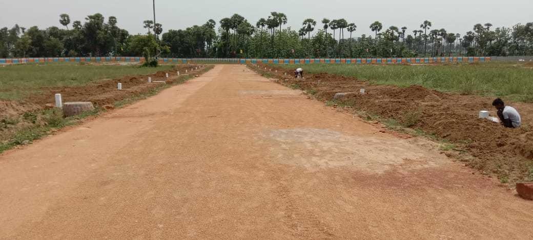  dallars layout Construction Status June 22