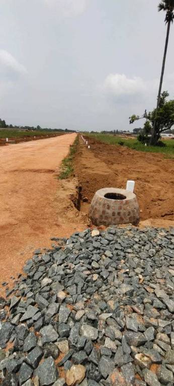  dallars layout Construction Status June 22