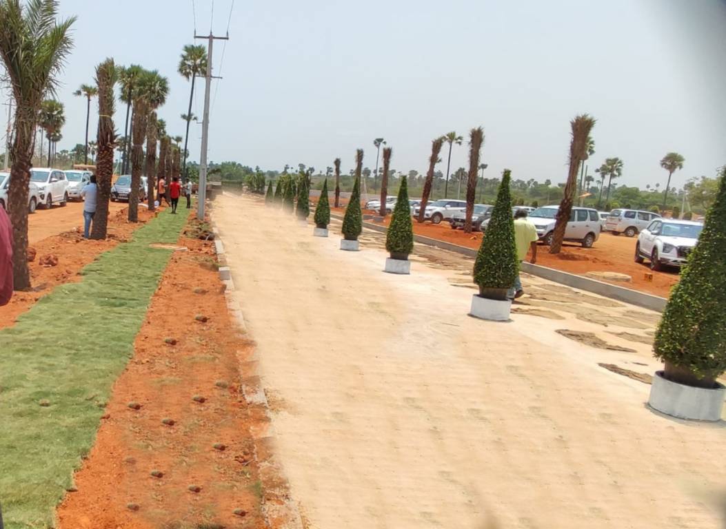 Elevation haritha vanam Elevation