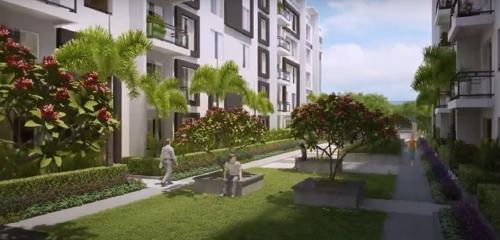  royal-crest Landscape Garden and Tree Planting