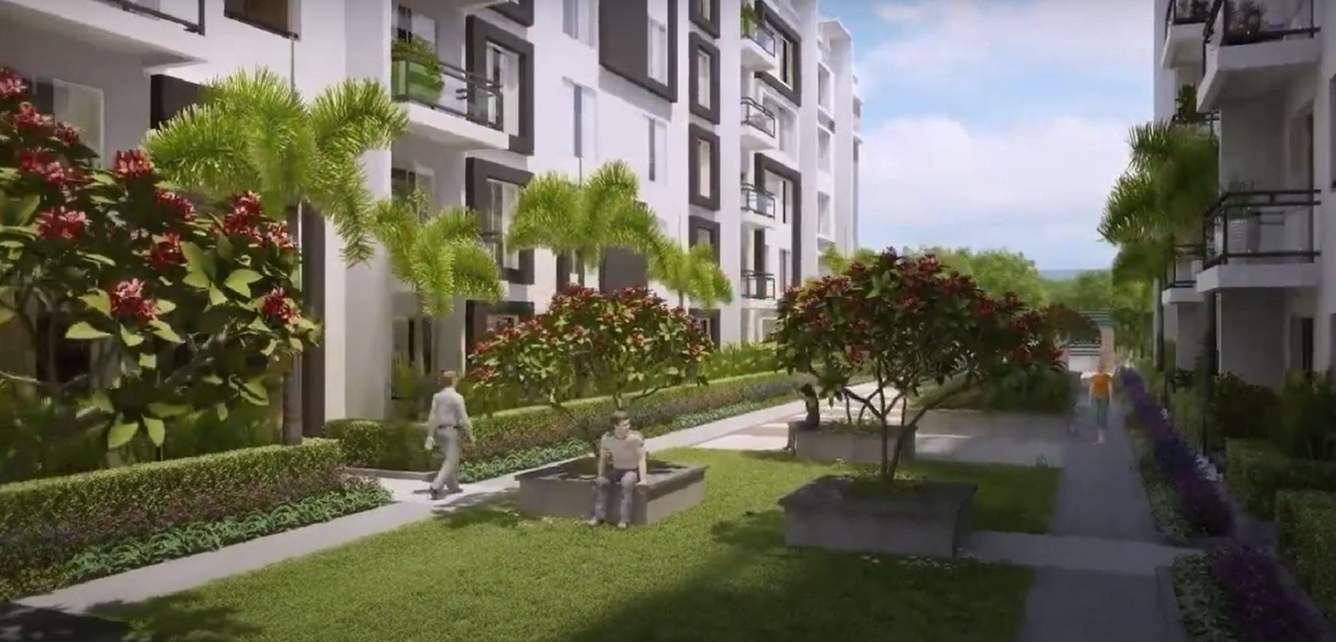 royal crest Landscape Garden and Tree Planting