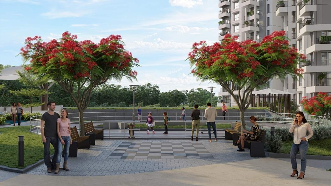  park hill wing b Landscape Garden and Tree Planting