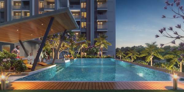  enchante-phase-i Others