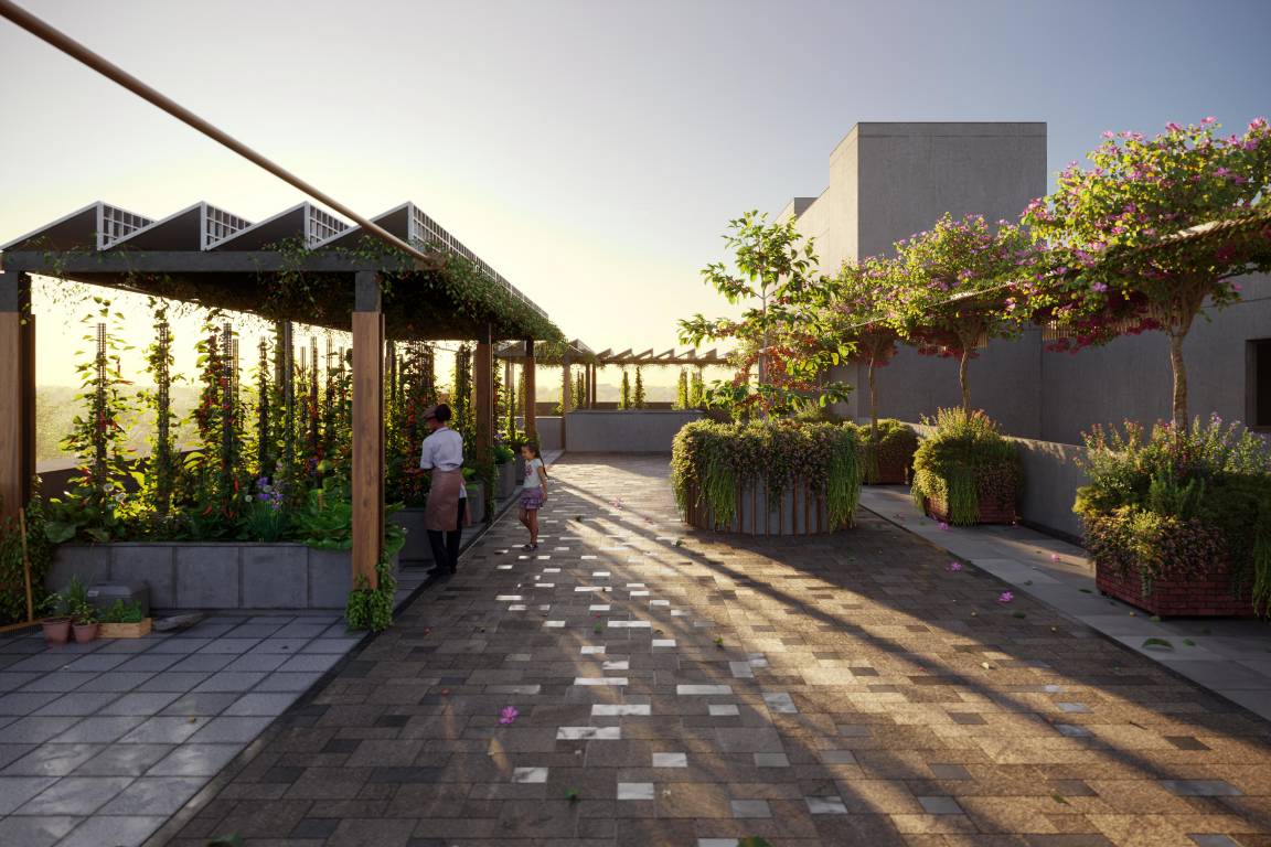  the bougainvillea Others