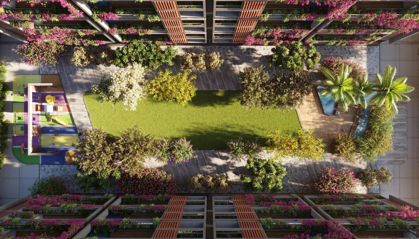  the bougainvillea Others