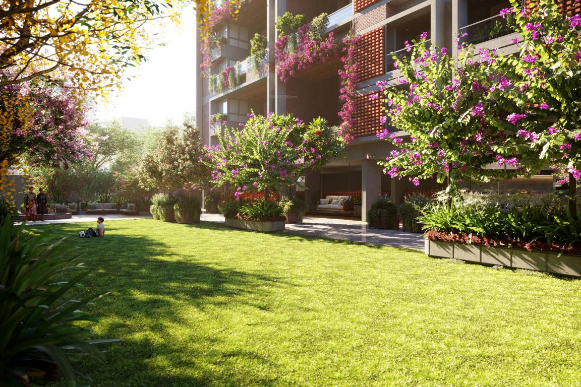  the bougainvillea Others