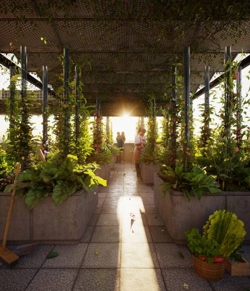  the-bougainvillea Others