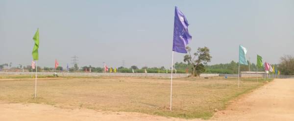  terminal-city Elevation