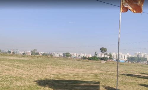 Landscape Garden and Tree Planting palmillas Landscape Garden and Tree Planting