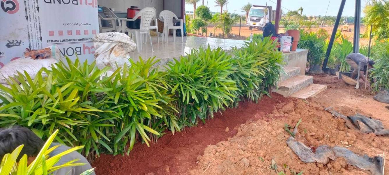  west city grand Plot