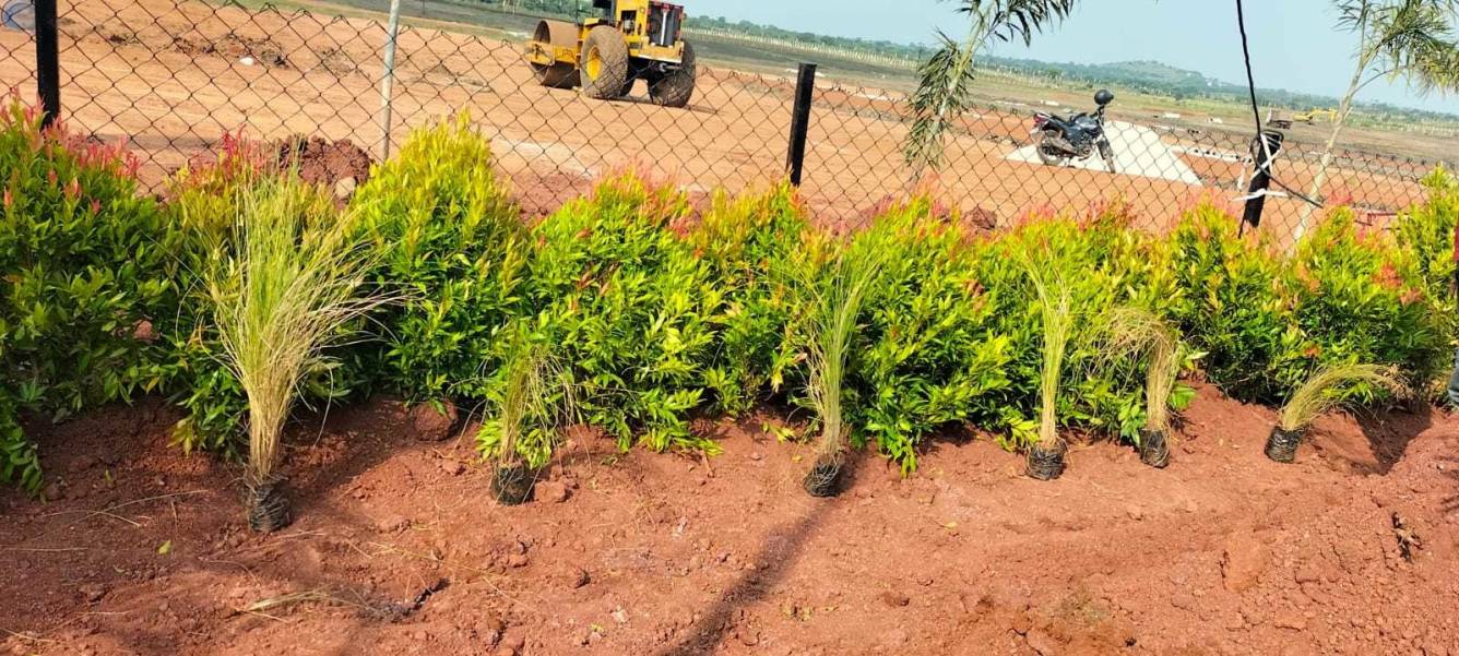  west city grand Plot