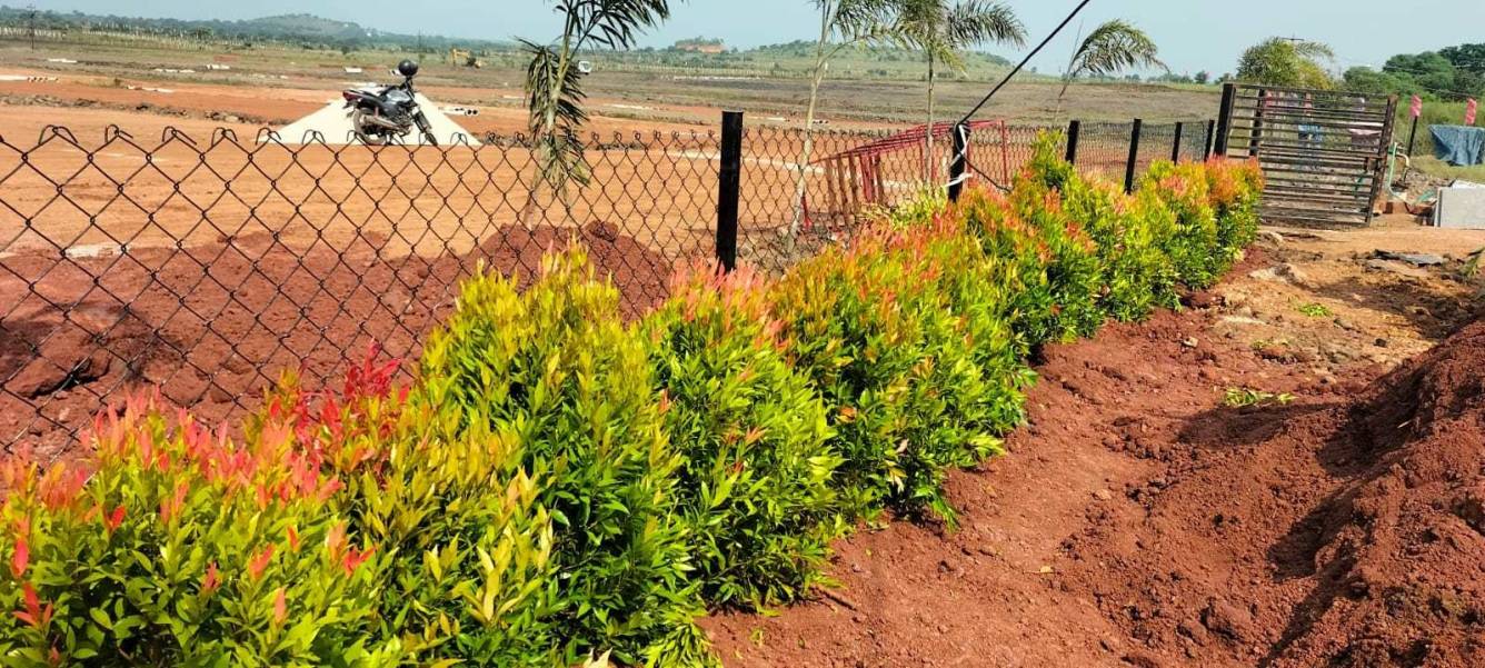  west city grand Plot