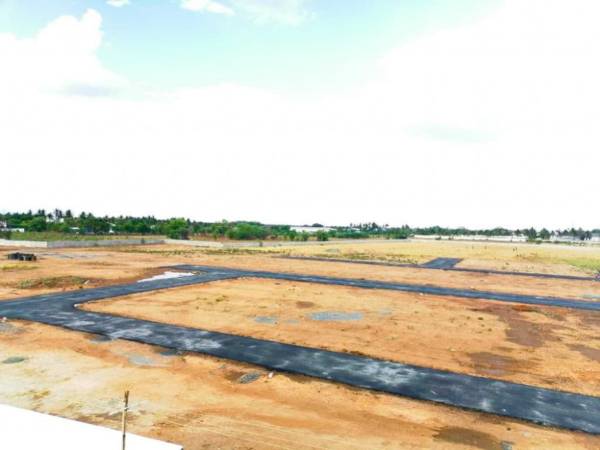 Plot royal-avenue Plot