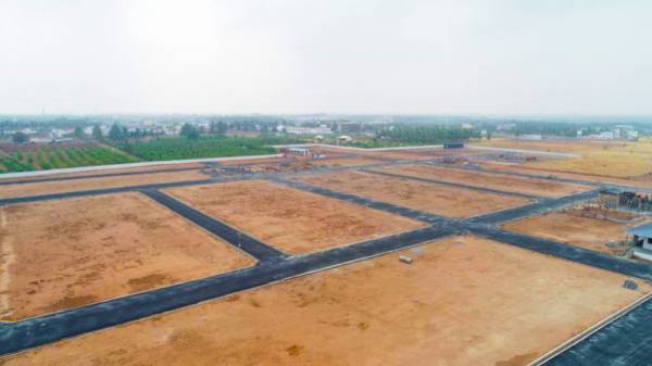 Plot royal-avenue Plot