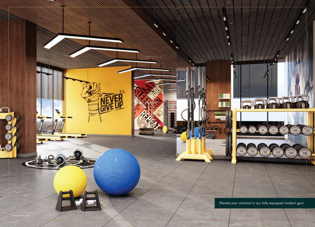  paradigm anantaara Gymnasium