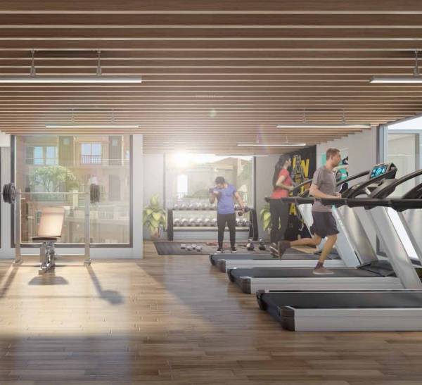  luxor-wing-b Gymnasium