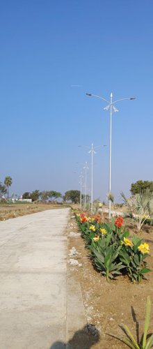  pharma-capital-city Internal Roads