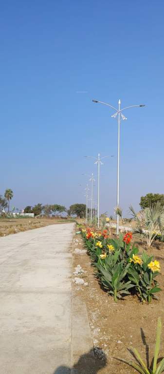  pharma capital city Internal Roads