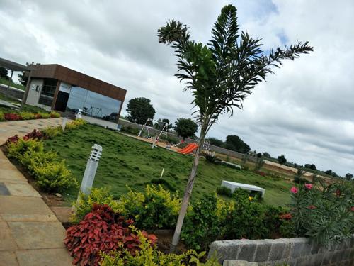  devaki-nature-city Landscape Garden and Tree Planting
