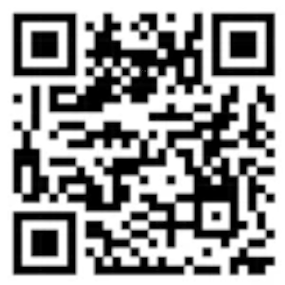 QR Image