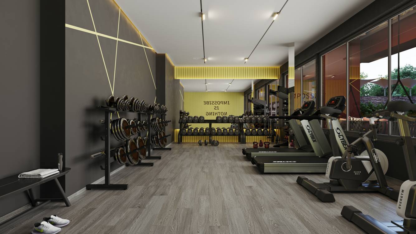  elite mercury Gymnasium