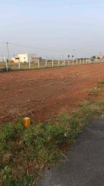 Plot royal-garden Plot