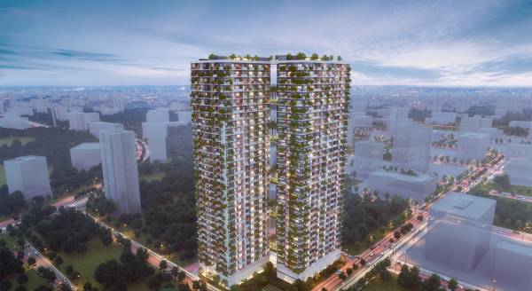 Elevation vida-project Elevation