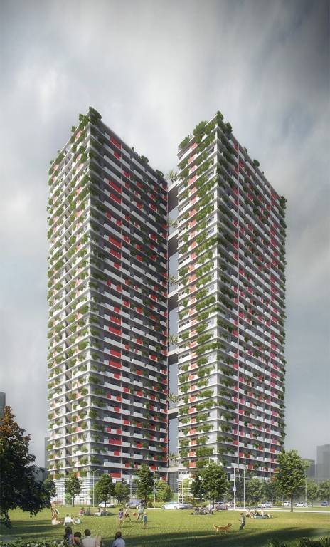  vida project Elevation