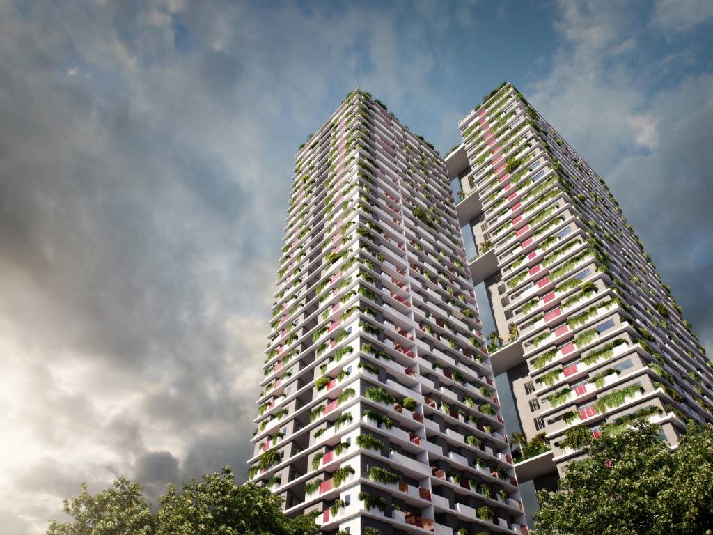  vida project Elevation