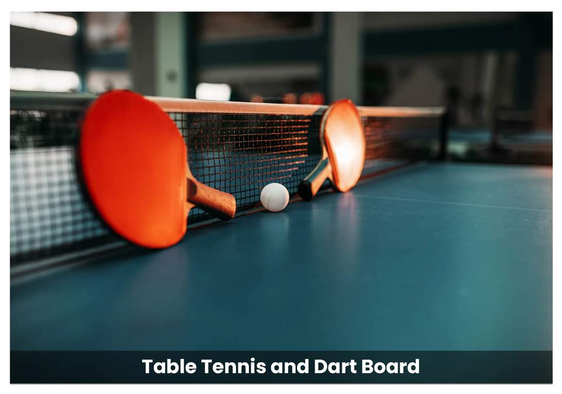  ananya Table Tennis