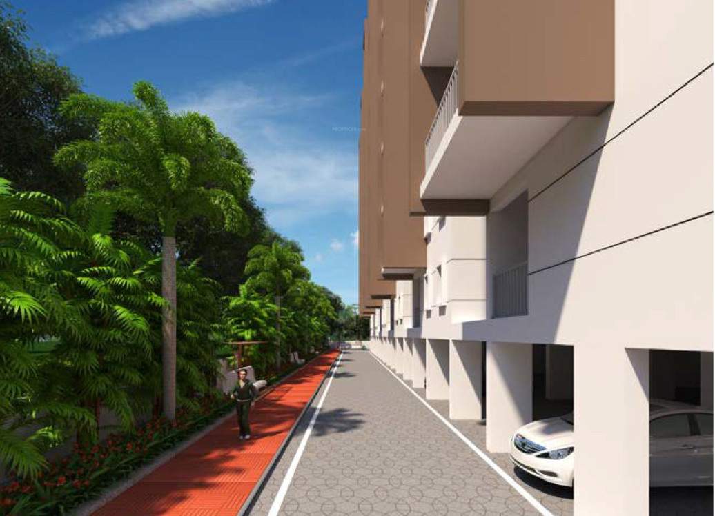  palazzo Jogging Track