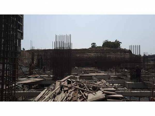 constructionStatus of Shreeji Om Solitaire