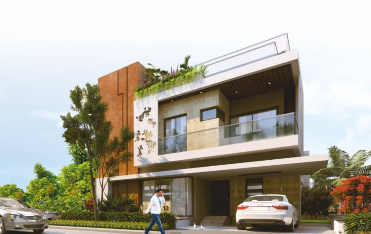 Elevation bogainvillea Elevation