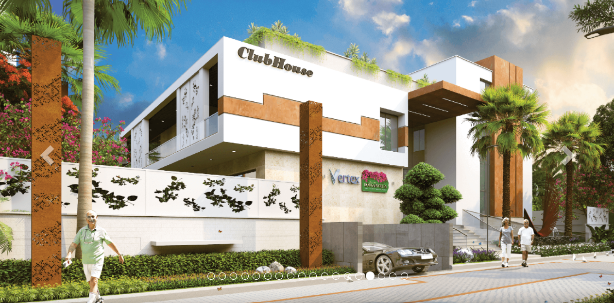 Vertex Bougainvillea