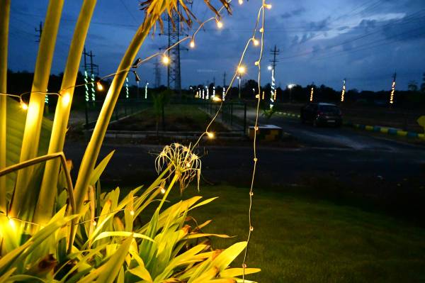 Plot nandagokula Plot