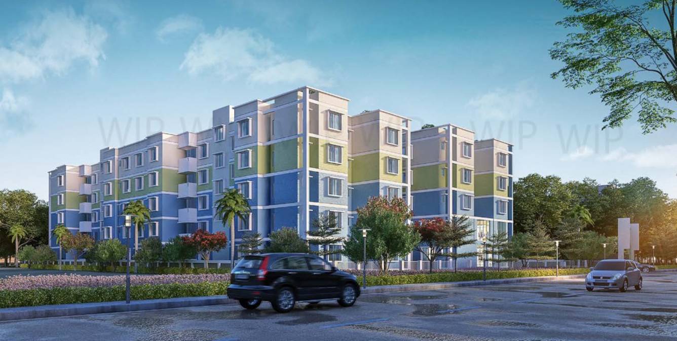  tolly veda Elevation