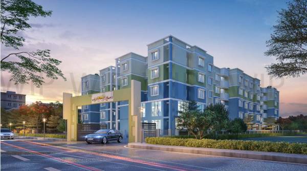  tolly-veda Elevation