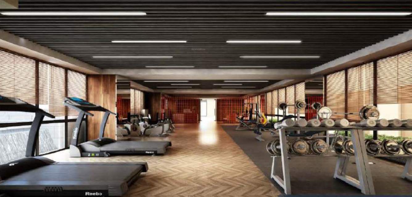  tolly veda Gymnasium