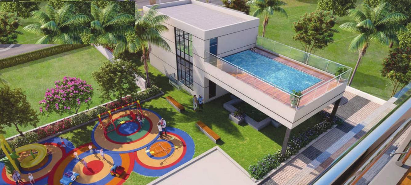  sai signature Others