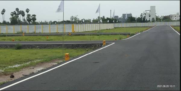  green-emerald Elevation