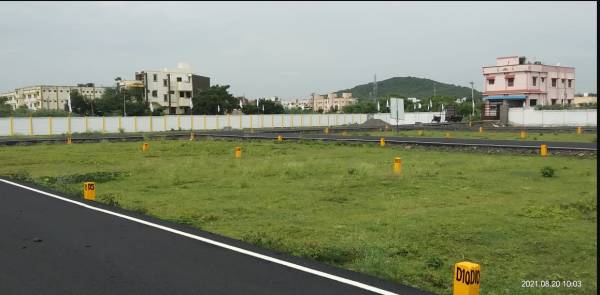  green-emerald Elevation