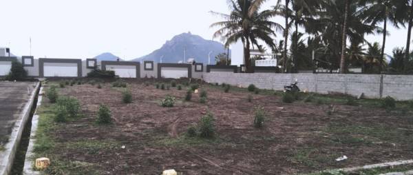 Plot sastha-nagar Plot