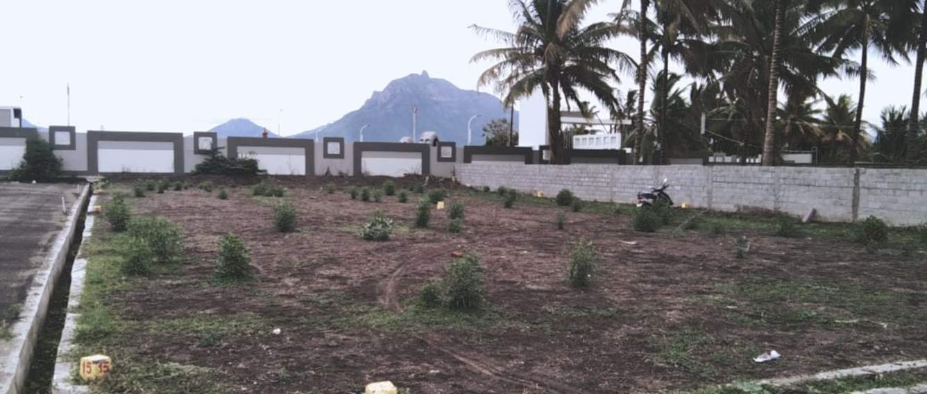 sastha nagar Plot