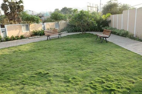  amber-ellance-a-2 Flower Garden