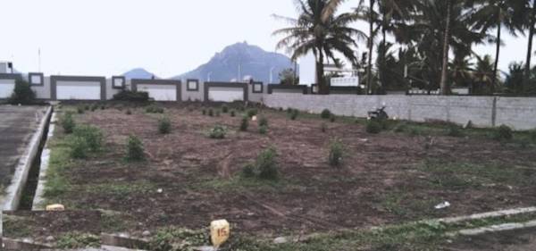  metro-city Elevation